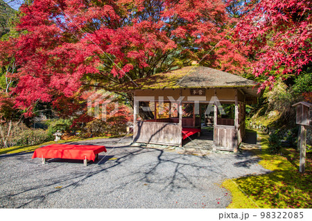 白龍園の紅葉と苔（京都） 98322085