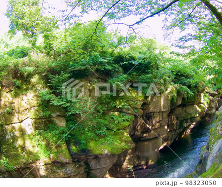 磊々峡(仙台市:秋保温泉郷) 磊々峡(仙台市:秋保温泉郷) 98323050