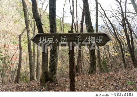 奥武蔵にある伊豆ヶ岳とその周辺 奥武蔵にある伊豆ヶ岳とその周辺 98323183