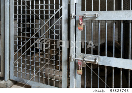 1/6サイズ・監獄（檻） 檻、牢屋、監獄の写真素材 [98323748] - PIXTA