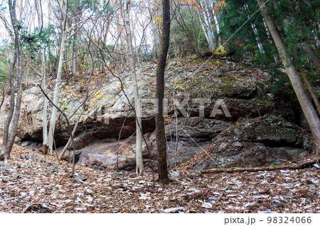 奥武蔵にある伊豆ヶ岳とその周辺 奥武蔵にある伊豆ヶ岳とその周辺 98324066