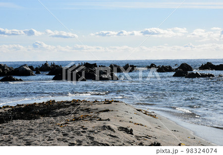 【千葉県 南房総市】白浜町 根本海岸 98324074