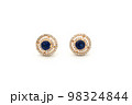 Elegant earrings, a pair of luxury earrings on white isolated background. Accessory earrings for women. 98324844