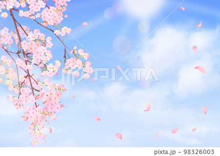 美しく華やかな桜の花と花びら舞い散る春の爽やか青空に光差し込む雲のフレーム背景ベクター素材イラスト 98326003