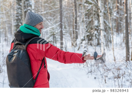in the forest, the bird takes the seeds from his hand. feeding birds in winter. nuthatch, chickadee, titmouse 98326943