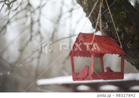 Close-up of a bird feeder on a tree under the snow in the forest. 98327842