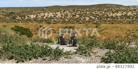 in the land of patagonia in the land of patagonia 98327992