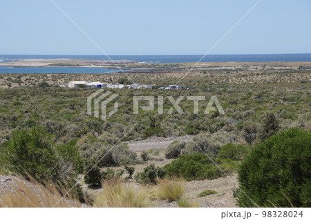 in the land of patagonia 98328024