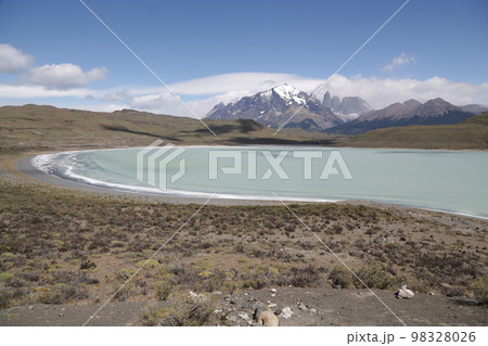 in the land of patagonia 98328026
