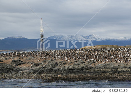 in the land of patagonia in the land of patagonia 98328186
