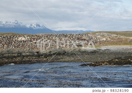 in the land of patagonia 98328190