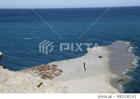 in the land of patagonia in the land of patagonia 98328241