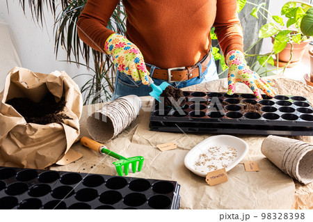Woman is planting seedlings at home Woman is planting seedlings at home 98328398