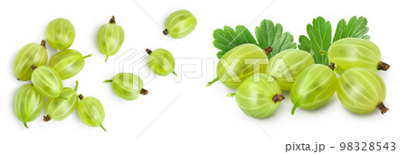 Green gooseberry isolated on white background with full depth of field. Top view. Flat lay 98328543