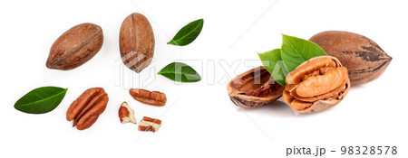 pecan nut decorated with green leaves isolated on white background. Top view. Flat lay pecan nut decorated with green leaves isolated on white background. Top view. Flat lay 98328578