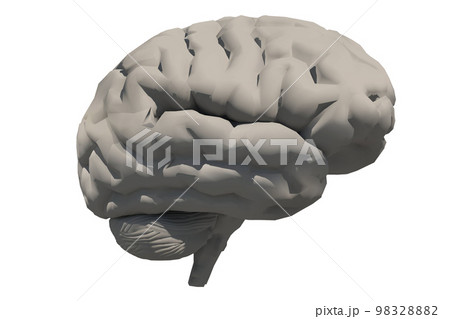 Human brain Human brain 98328882