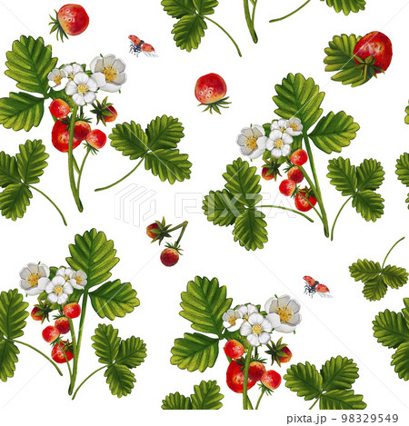 Seamless pattern with watercolor strawberries, bushes and ladybug. Food for the kitchen Summer pattern with painted illustrations. Suitable for wallpaper, textiles, prints, desserts, cookbook. 98329549