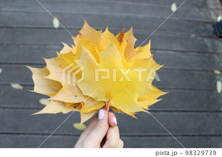 Autumn, bouquet of yellow leaves. Autumn postcard 98329739