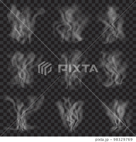 Set of translucent white smoke. Transparency only in vector format 98329769