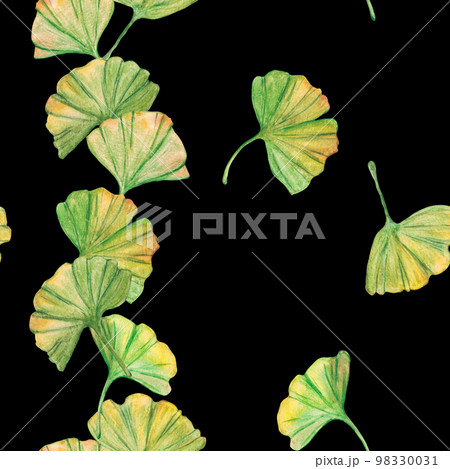 Seamless pattern ginkgo biloba green and yellow leaves, print botany foliage. Watercolor branches. Leaves clip art. 98330031