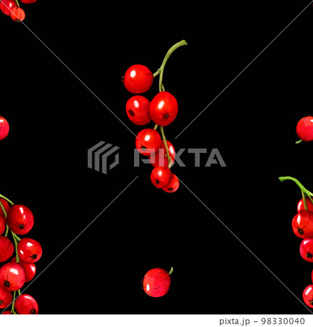Pattern. Watercolor red ripe currant berries isolated on black background. Hand drawn botanical illustration. Clip art berry branches. Viva Magenta color. 98330040