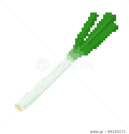 長ネギ野菜 98330271