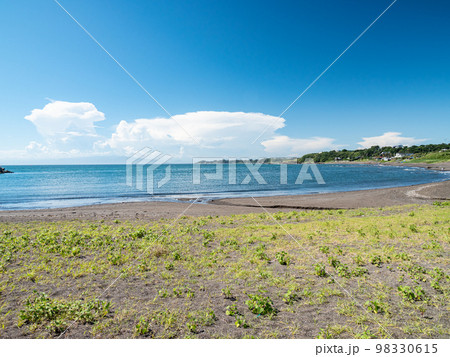 青い海岸 98330615