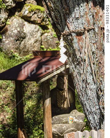 日龍峯寺 高澤観音の自然の風景 日龍峯寺 高澤観音の自然の風景 98331401