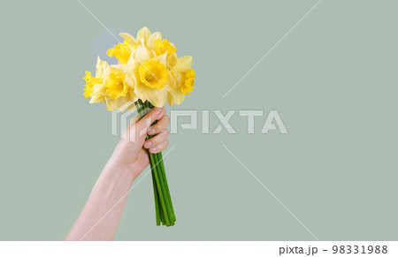 Bouquet of yellow daffodils, narcissus in female hand on green background 98331988