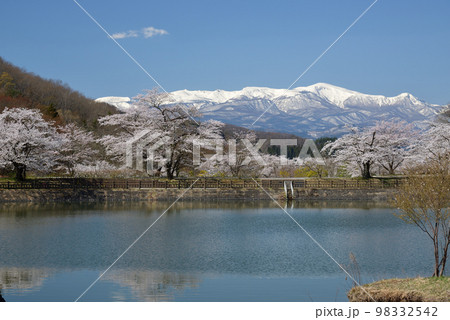 茶屋沼の桜と安達太良連峰 98332542