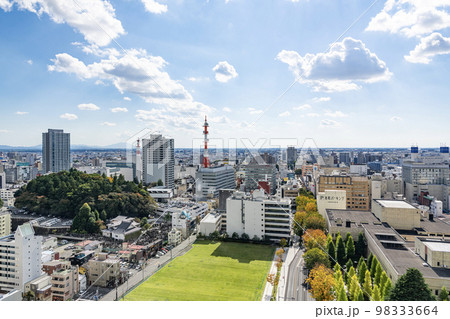 栃木県宇都宮市 栃木県庁から望む宇都宮市の街並み(南方向) 栃木県宇都宮市 栃木県庁から望む宇都宮市の街並み(南方向) 98333664