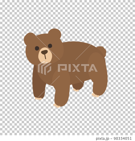 quadrupedal bear 98334051