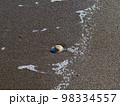 砂浜に落ちている石と、濡れた砂浜 98334557