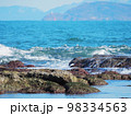 日本海。岩に打ち寄せる波3 98334563