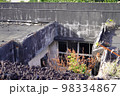 溶岩に埋もれた阿古小学校校舎（東京都三宅島） 98334867