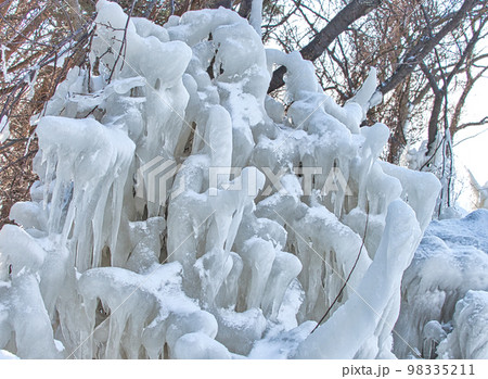 猪苗代湖のしぶき氷（福島県耶麻郡猪苗代町） 98335211