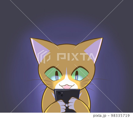 暗闇でスマホを見る猫 98335719