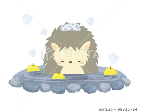 温泉に入るハリネズミのイラスト　線なし 98335724