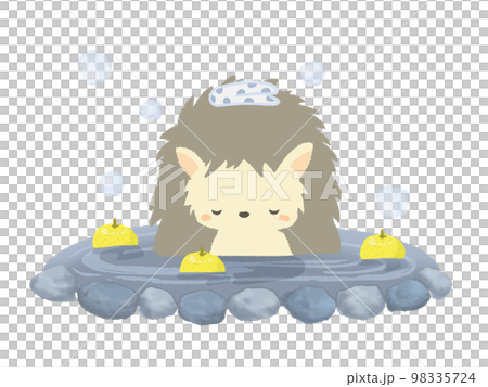 温泉に入るハリネズミのイラスト　線なし 98335724