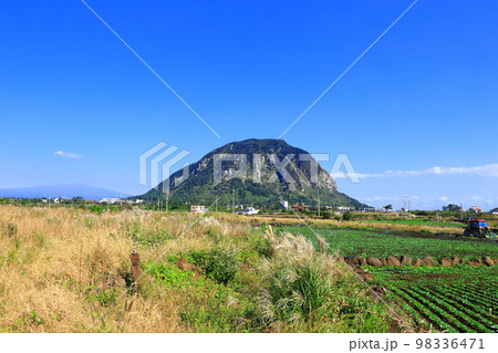 済州島 上り 動産 98336471