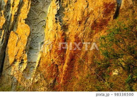 済州島 上り 動産 98336500