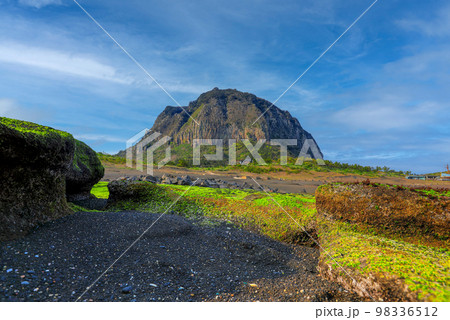 済州島 上り 動産 98336512