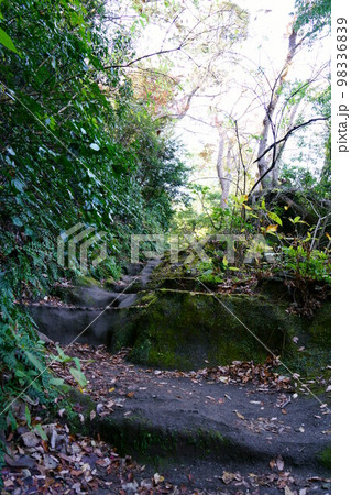 鎌倉 化粧坂 鎌倉 化粧坂 98336839