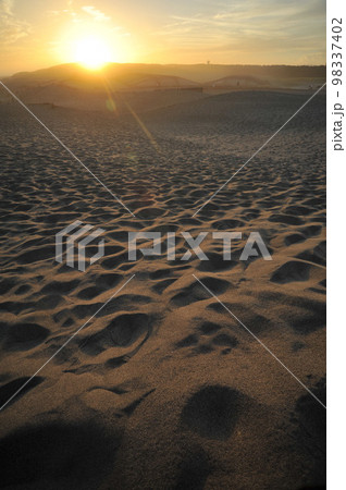 静岡県浜松市中田島砂丘 98337402