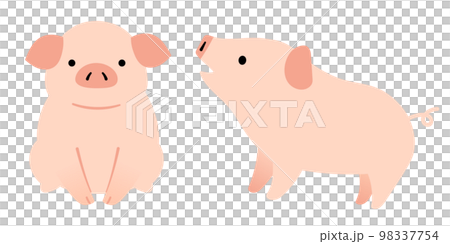 Full body illustration of a cute little pig 98337754