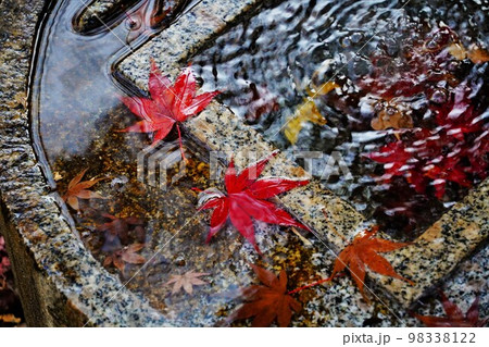 水に浮かぶ紅葉の葉 98338122