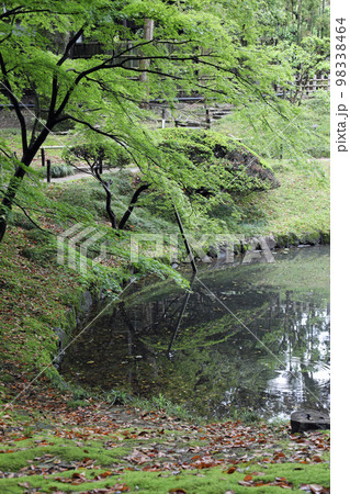 春の岡山後楽園の風景 98338464