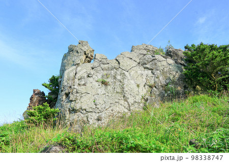 済州島 上り 動産 98338747