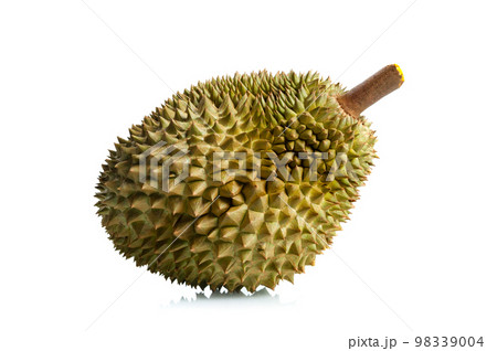Mon Thong durian fruit 98339004