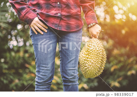 Mon Thong durian fruit in hand 98339017